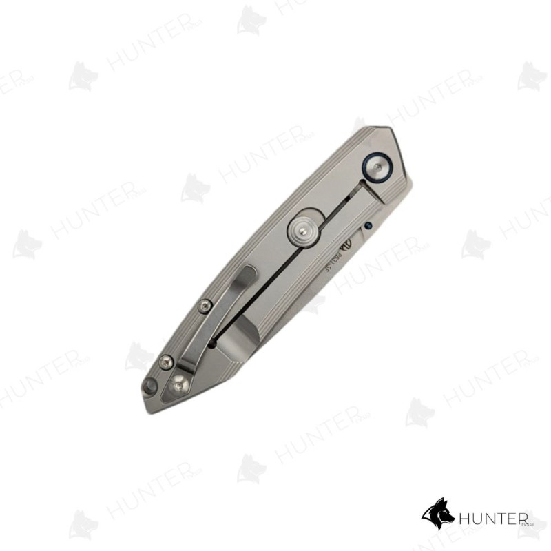Ніж складний Ruike P831-SF