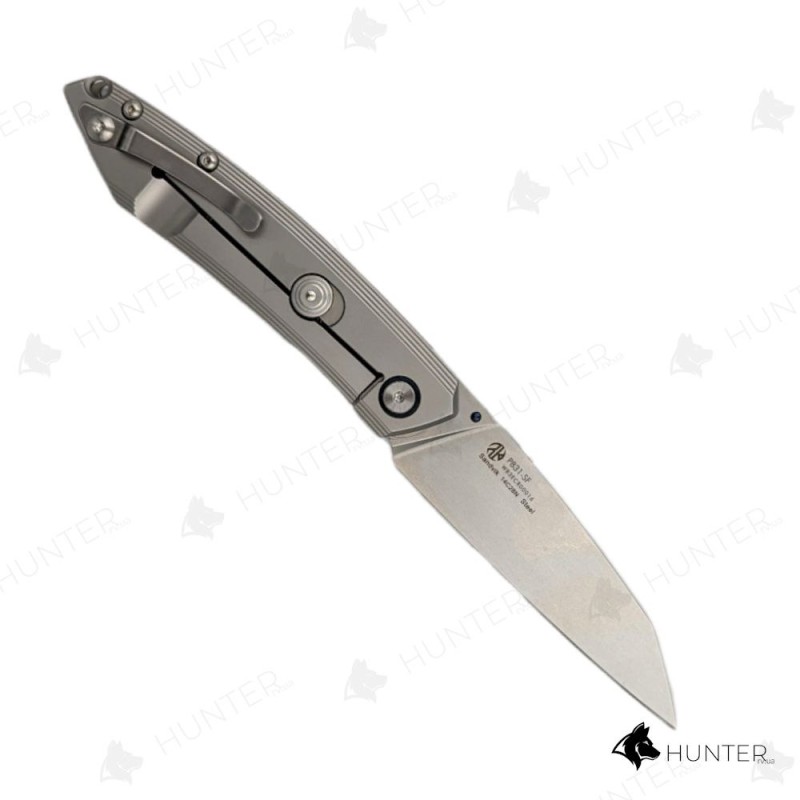 Ніж складний Ruike P831-SF