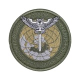 Шеврон Військова розвідка України (сова) липучка Олива