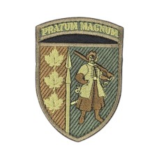 Шеврон 65 ОМБр Pratum magnum 10х7см липучка Олива