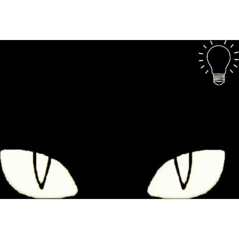 Патч Очі кота (2.5x8cm) люмінісцент MultiCam